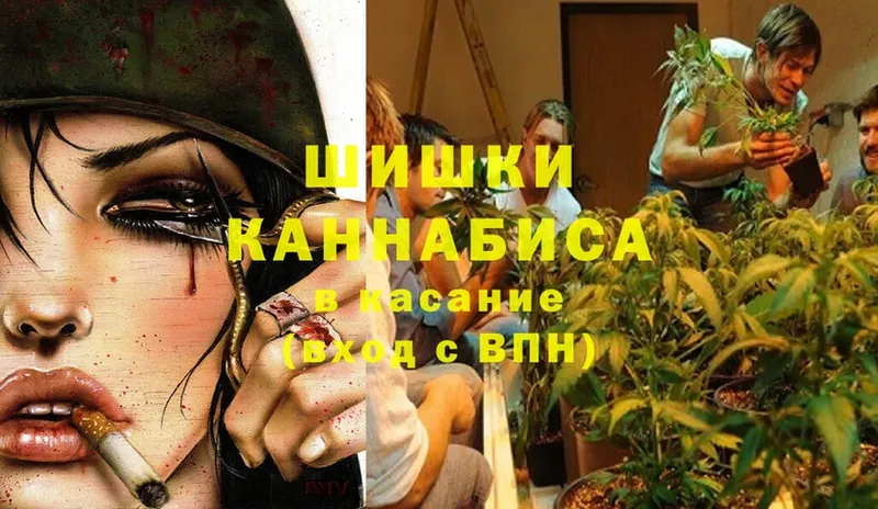 Шишки марихуана OG Kush  blacksprut сайт  Венёв 